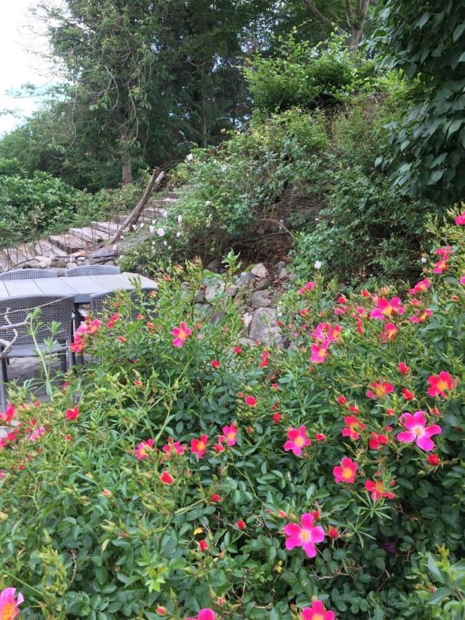 Farsø Margretelyst Bed & Breakfast エクステリア 写真