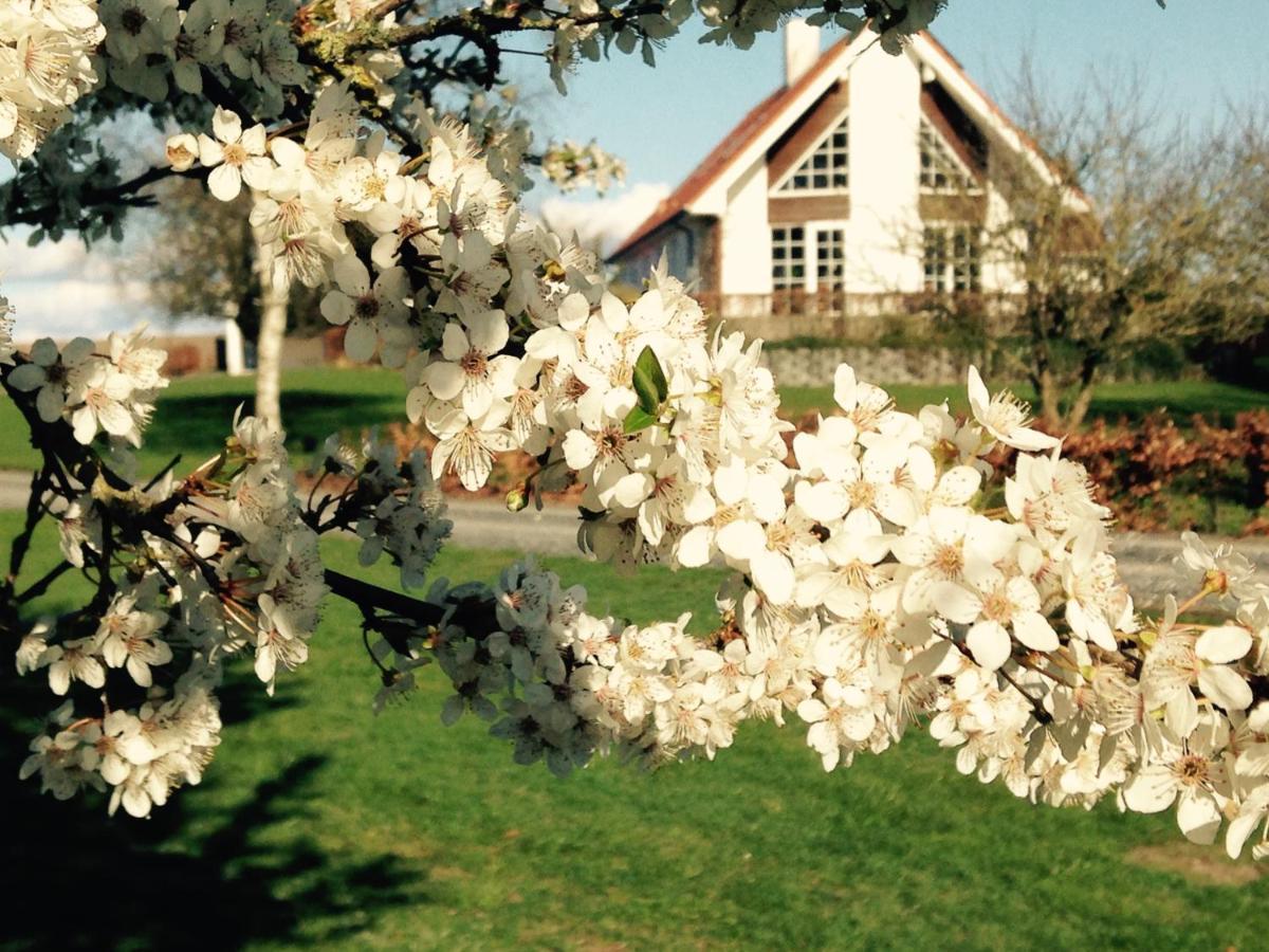 Farsø Margretelyst Bed & Breakfast エクステリア 写真