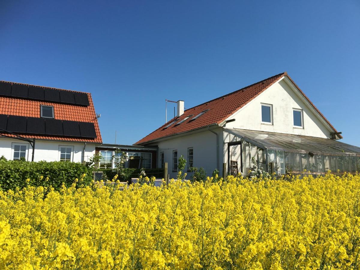Farsø Margretelyst Bed & Breakfast エクステリア 写真