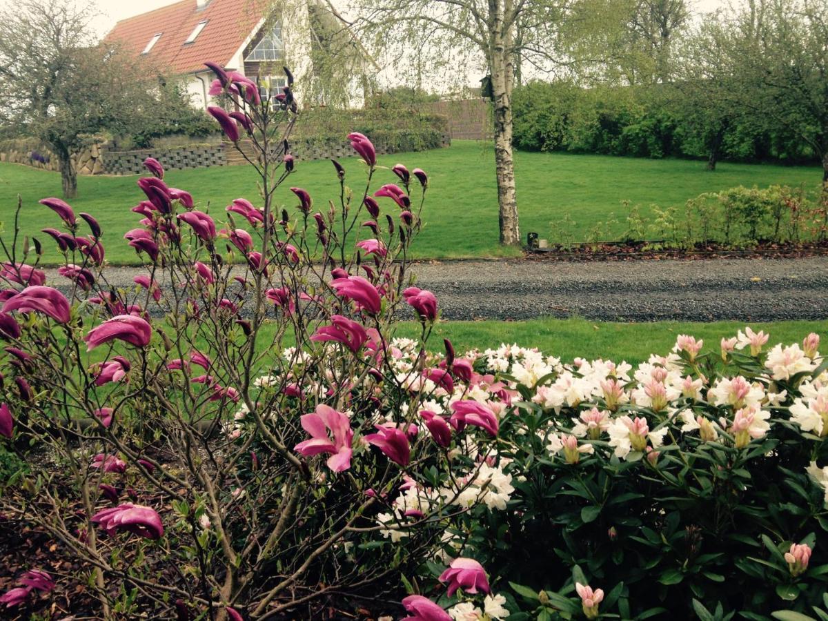 Farsø Margretelyst Bed & Breakfast エクステリア 写真